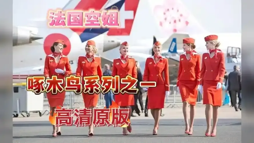 《法国空姐4》资源下载-法国空姐4全季高清4K完整版在线观看-法版空姐经典合集免费播放