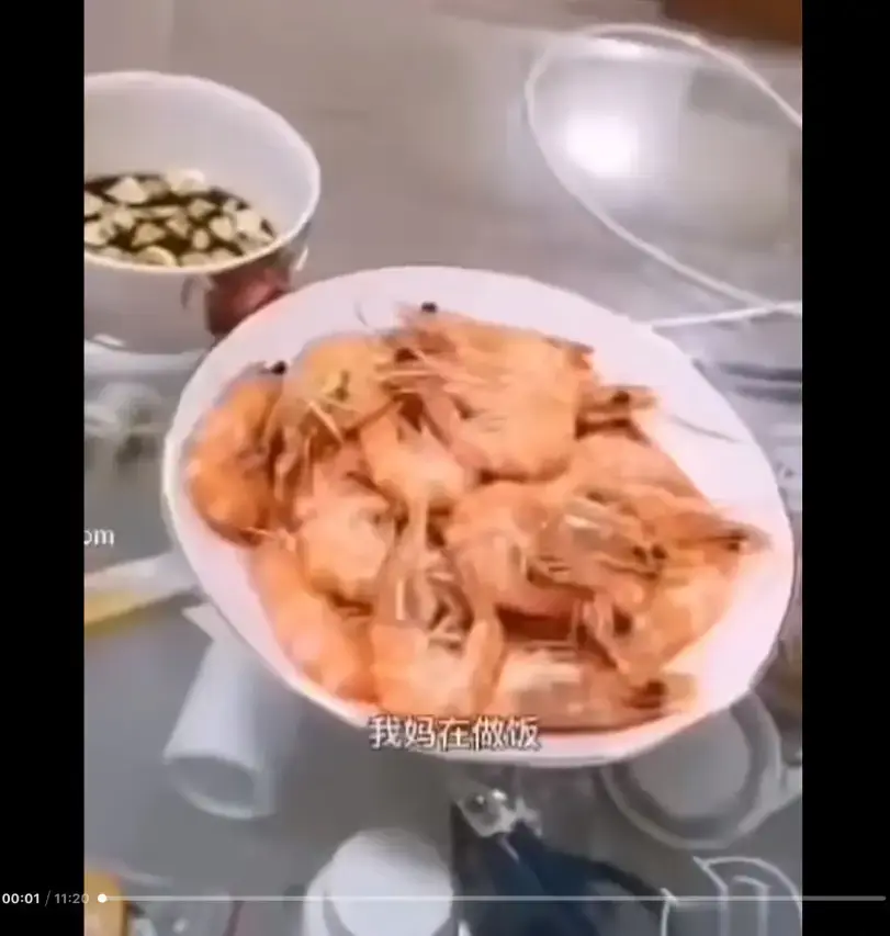 《大虾母子厨房完整版》高清视频在线看-梗解析来龙去脉-猎奇视频资源免费播放