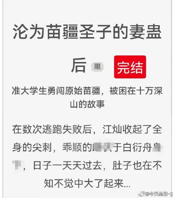 《沦为苗疆圣子的妻蛊后》txt全集免费阅读_狐狸雨小说全文在线阅读_完结版百度网盘资源